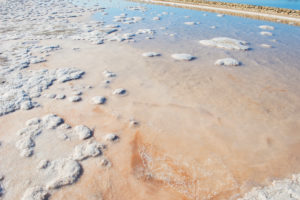 Salt lake, Formentera, Baleric Islands, Spain Salt lake, Formentera, Baleric Islands, Spain